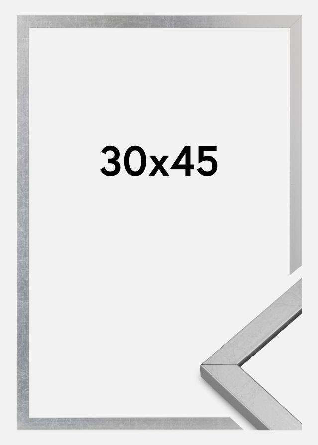 Mavanti Frame Minerva Acrylic Glass Silver 30x45 cm