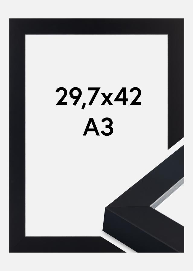 Jämtlands Ramfabrik Frame Sussex Acrylic Glass Black/Silver 29.7x42 cm (A3)