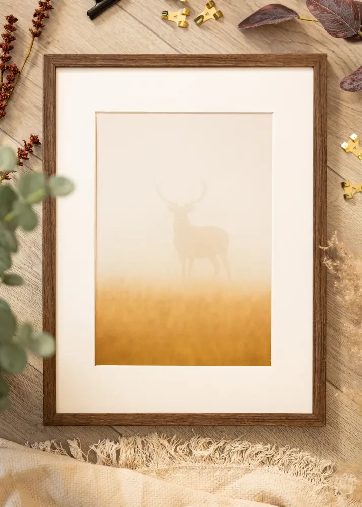 Mavanti Frame Ares Acrylic Glass Walnut 50x60 cm