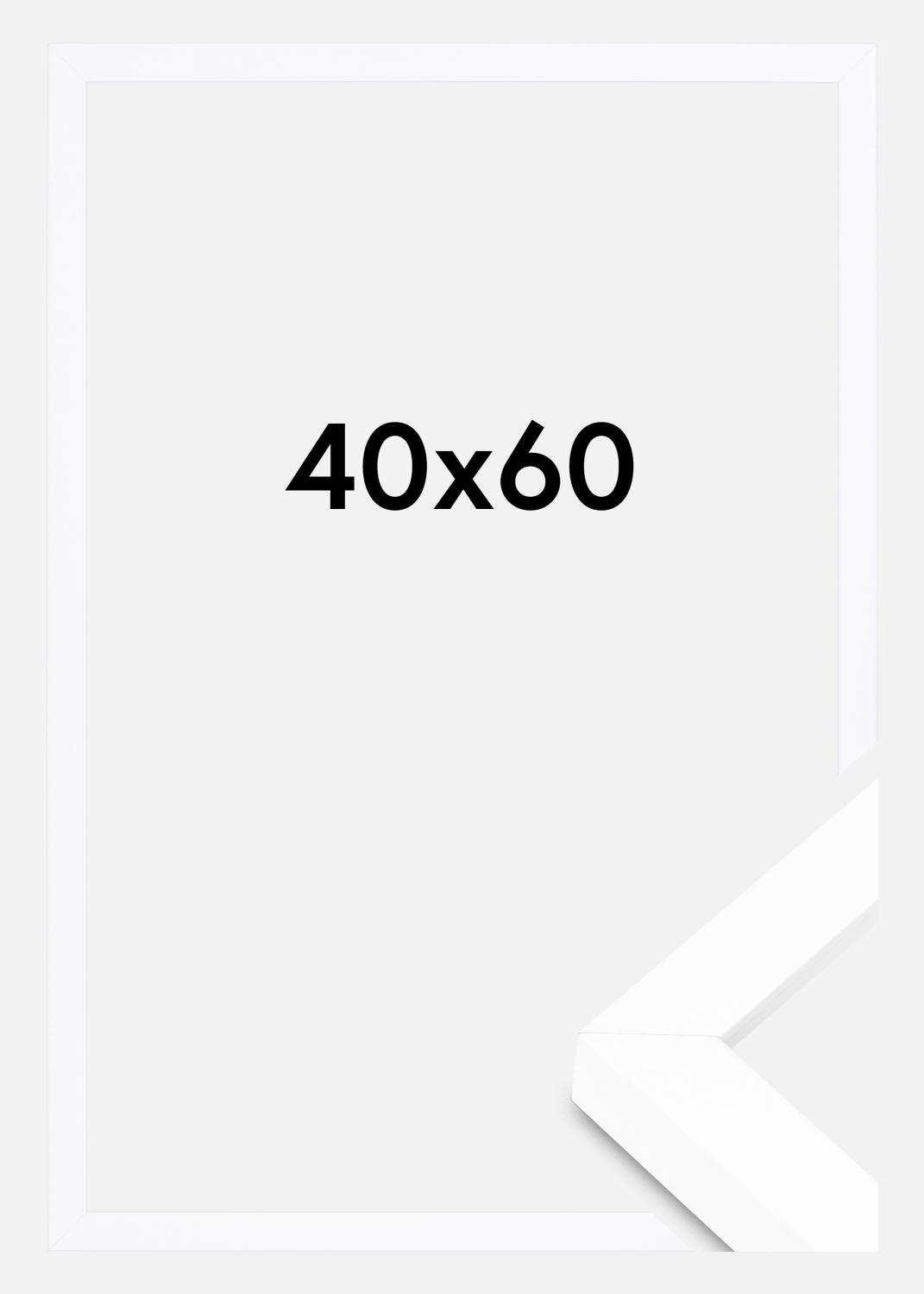 Product Image for BGA Box Frame Acrylic Glass White 40x60 cm