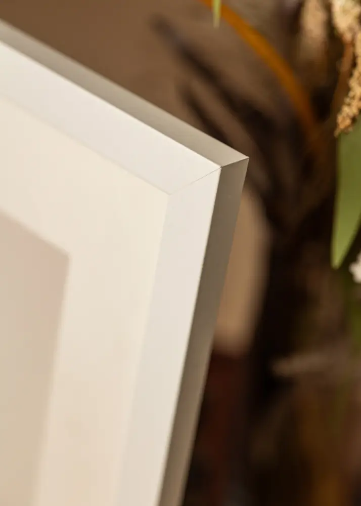 BGA Frame Deco Acrylic Glass White 42x59 cm (A2)