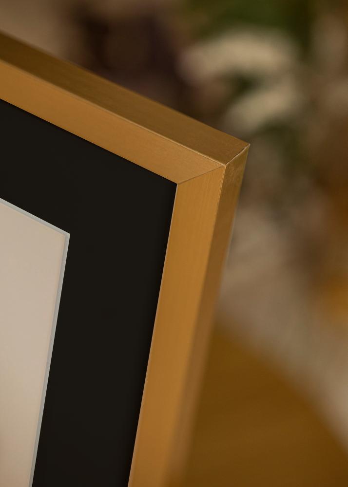 Ram med passepartou Frame Selection Gold 40x50 cm - Picture Mount Black 29.7x42 cm (A3)