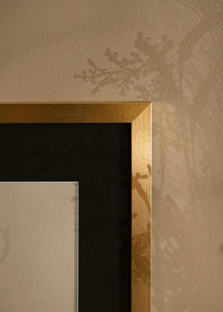 Ram med passepartou Frame Selection Gold 60x80 cm - Picture Mount Black 50x60 cm