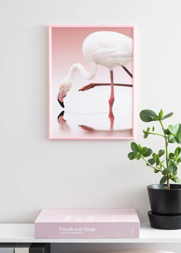 Ram med passepartou Frame New Lifestyle Pink 30x40 cm - Mounts White 20x30 cm