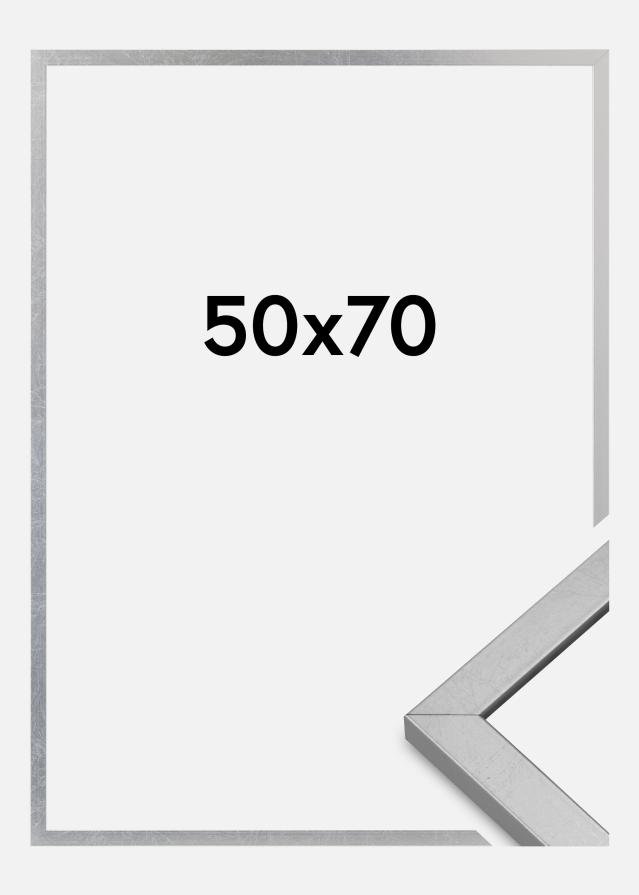 Mavanti Frame Minerva Acrylic Glass Silver 50x70 cm