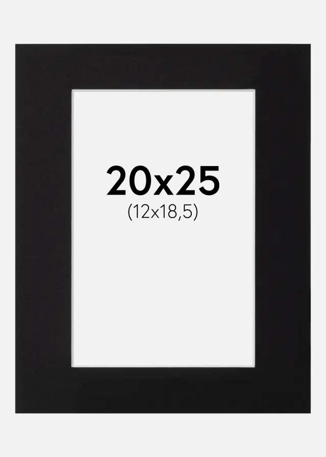 Galleri 1 Mount Canson Black (White Core) 20x25 cm (12x18,5)