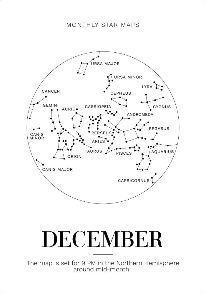 Bildverkstad Monthly star December Poster