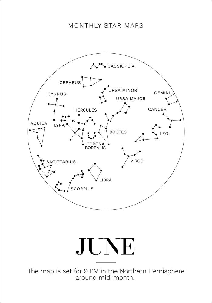 Bildverkstad Monthly star June Poster