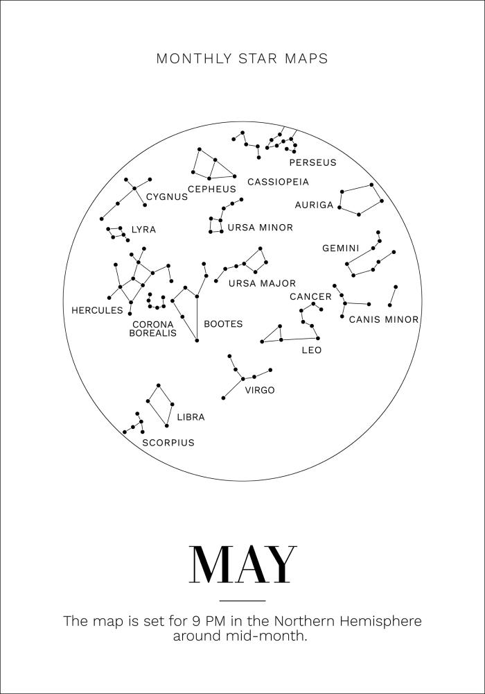 Bildverkstad Monthly star May Poster