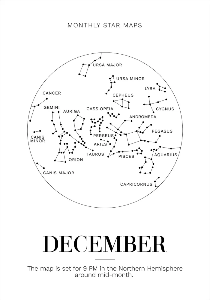 Bildverkstad Monthly star December