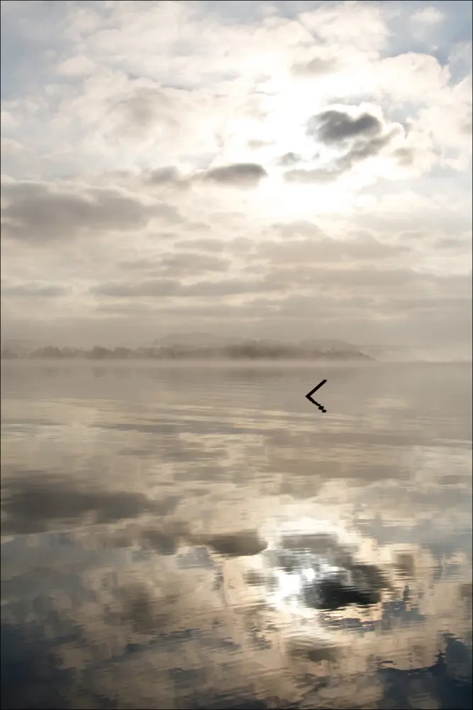 Bildverkstad Morning fog Poster