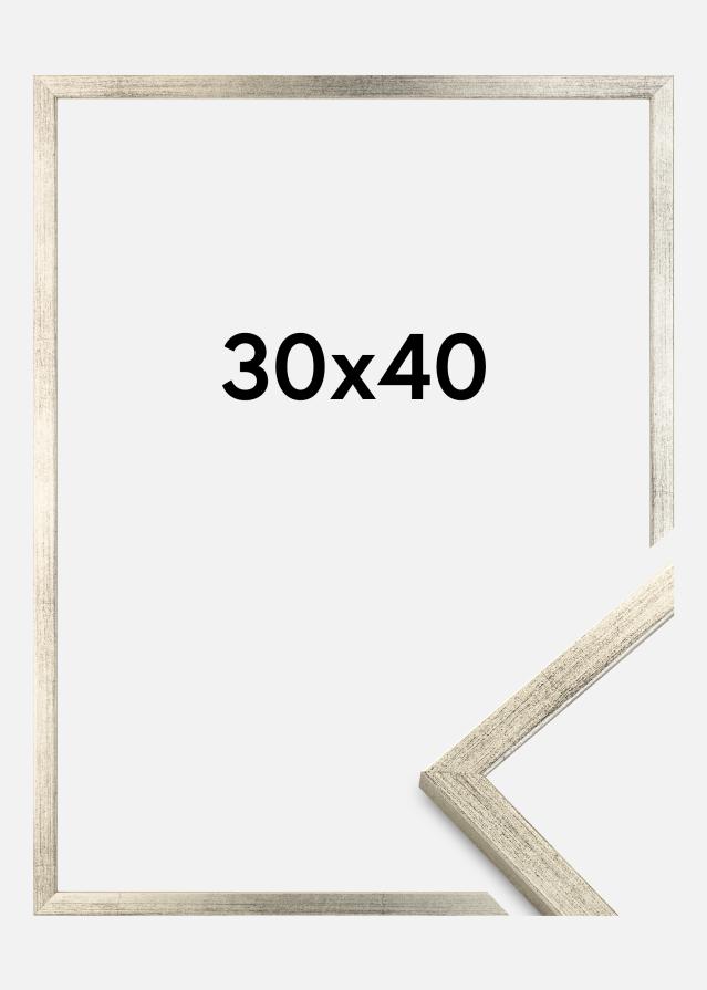 Estancia Frame Gallant Acrylic glass Silver 30x40 cm