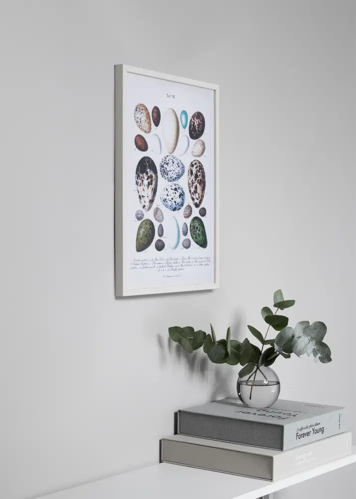 Ram med passepartou Frame Oslo White 30x40 cm - Picture Mount Black 8x12 inches