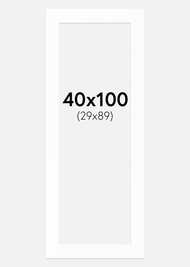 Galleri 1 Mount Canson White (White Core) 40x100 cm (29x89)