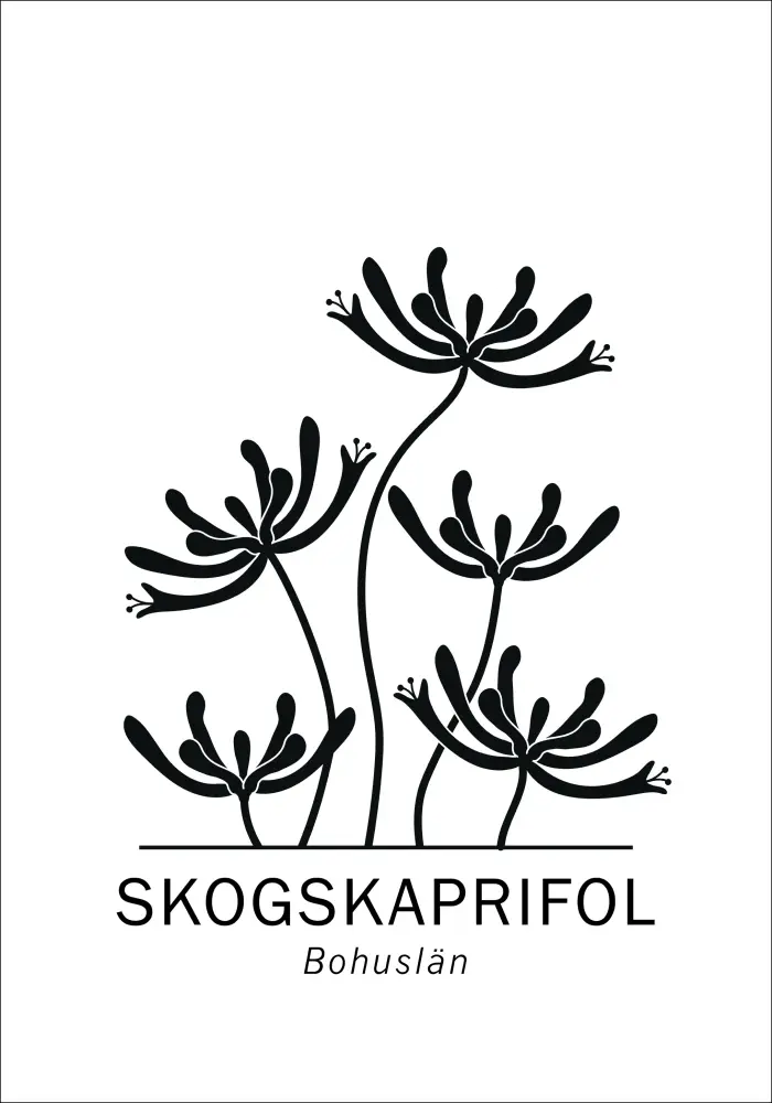Bildverkstad Poster