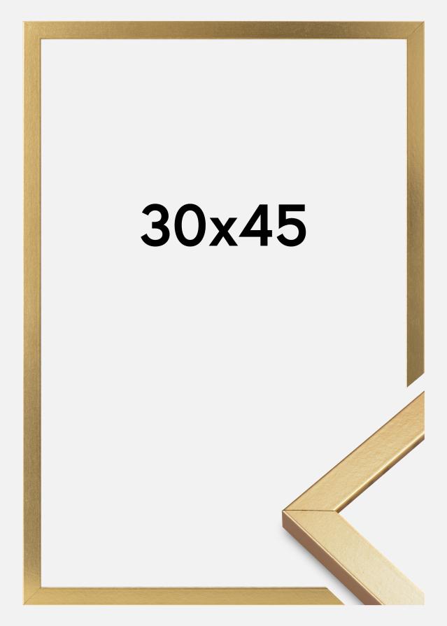 Mavanti Frame Minerva Acrylic Glass Gold 30x45 cm
