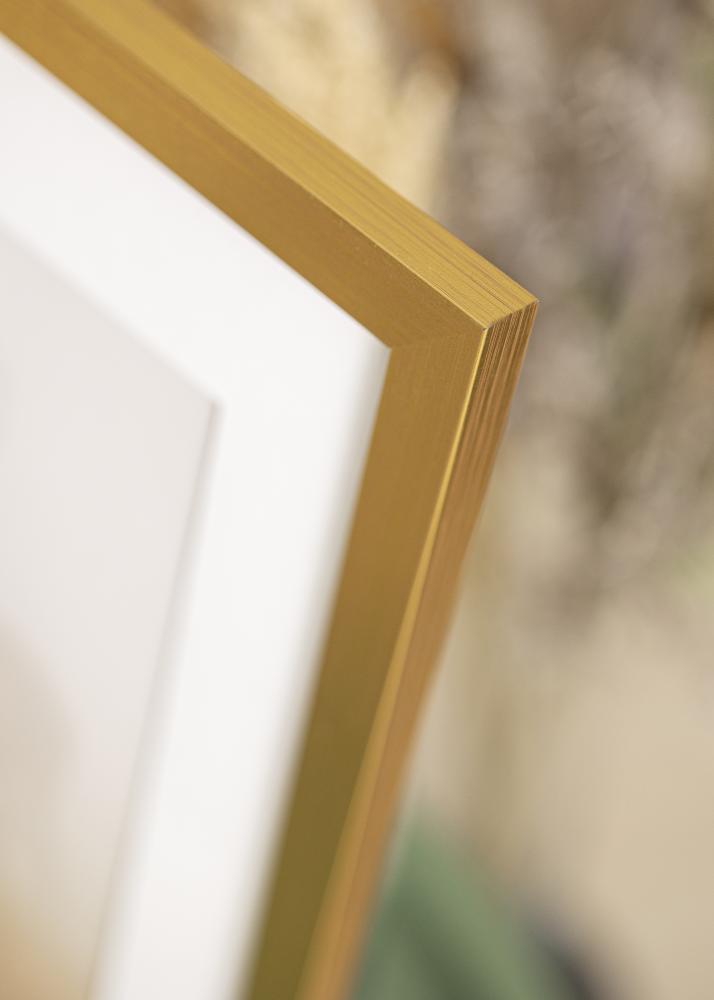 Galleri 1 Frame Gold Wood Acrylic glass 33x95 cm