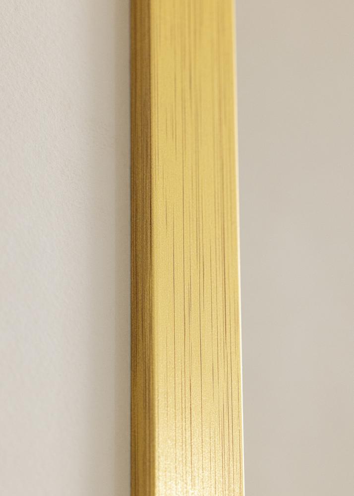 Galleri 1 Frame Gold Wood Acrylic glass 33x95 cm