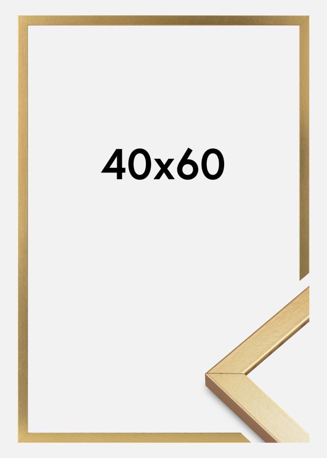 Mavanti Frame Minerva Acrylic Glass Gold 40x60 cm