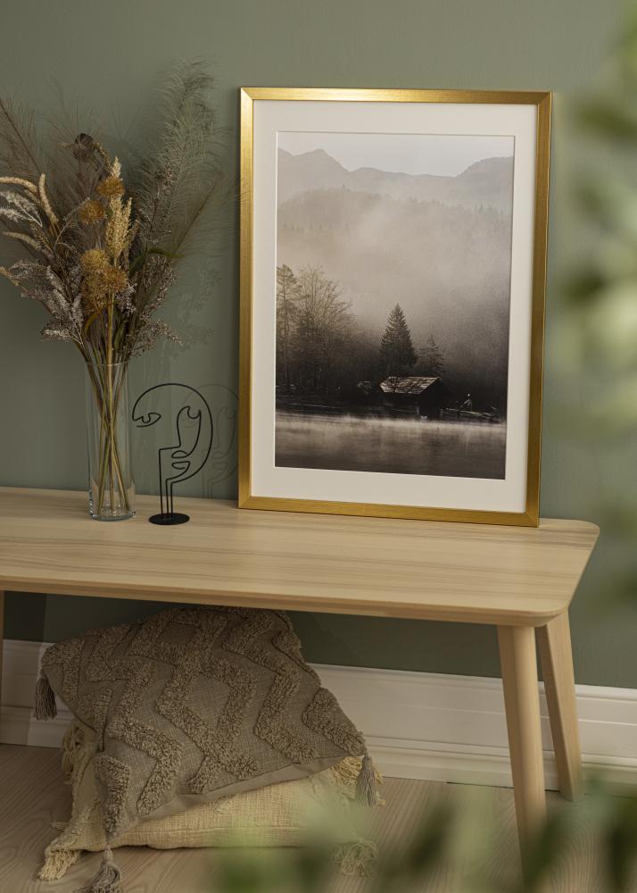 Galleri 1 Frame Gold Wood Acrylic glass 33x95 cm