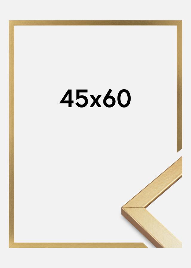 Mavanti Frame Minerva Acrylic Glass Gold 45x60 cm