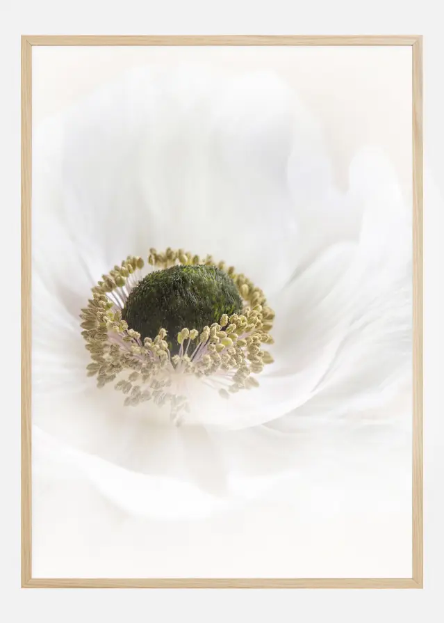 Bildverkstad Pure Poster