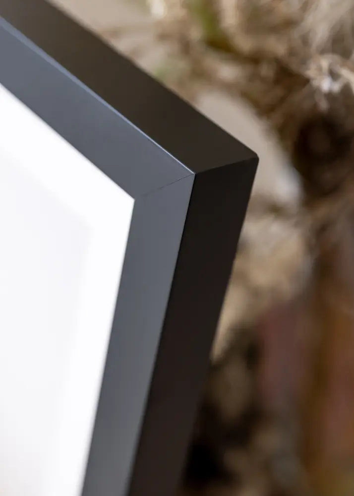 Ramverkstad Frame Hathor Black - Various Sizes