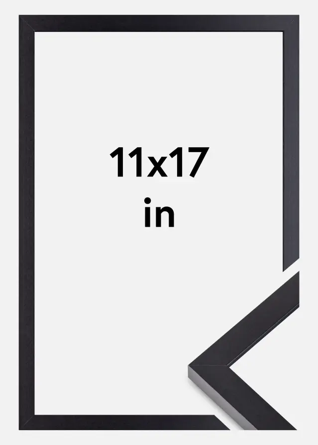 BGA Frame Selection Acrylic Glass Black 11x17 inches (27,94x43,18 cm)