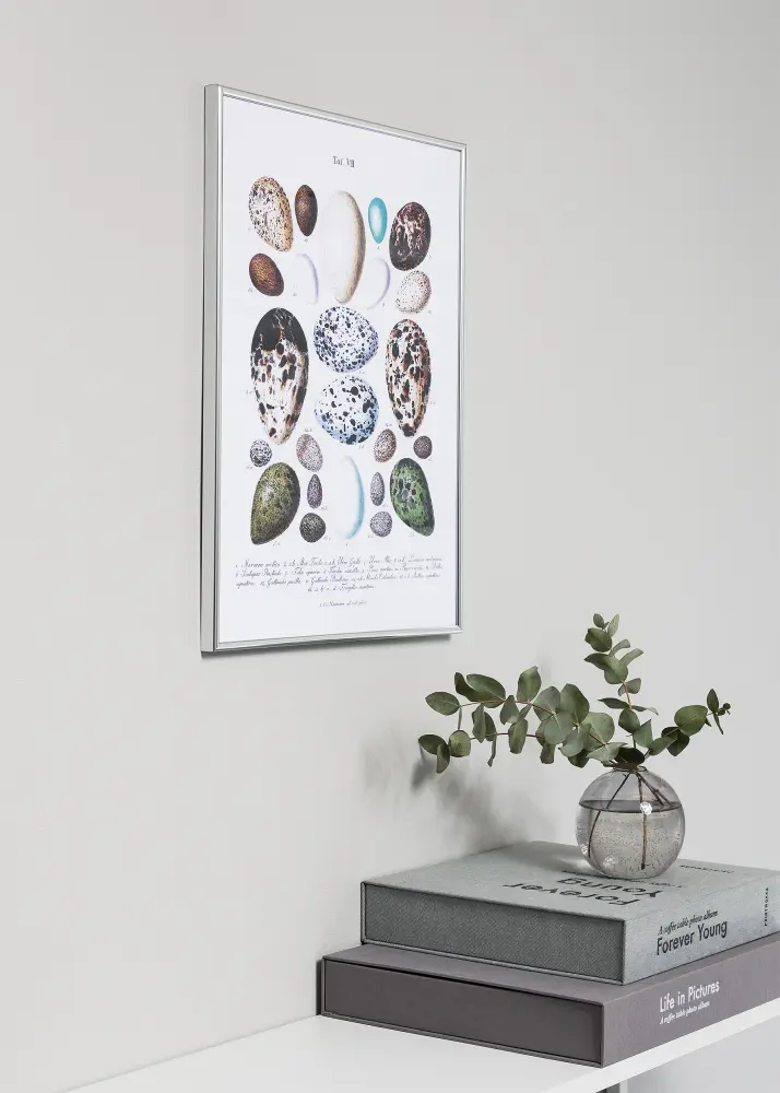Focus Frame Can-Can Silver 21x30 cm