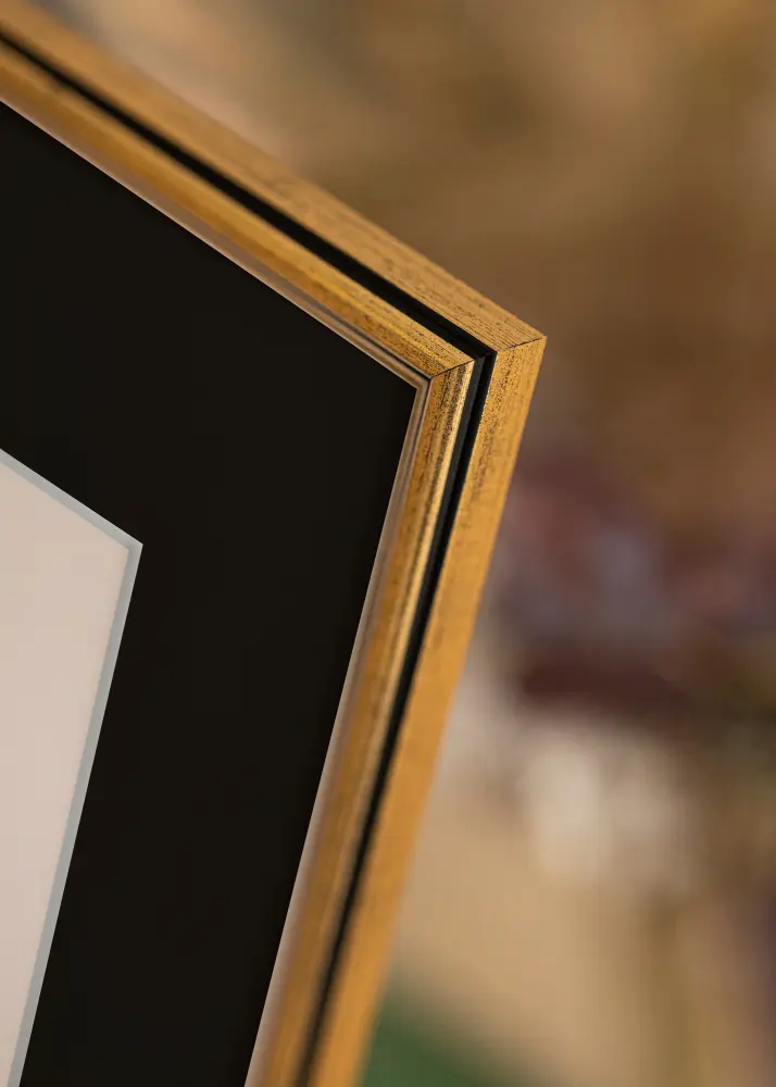 Ram med passepartou Frame Horndal Gold 40x60 cm - Picture Mount Black 32.9x48.3 cm (A3+)