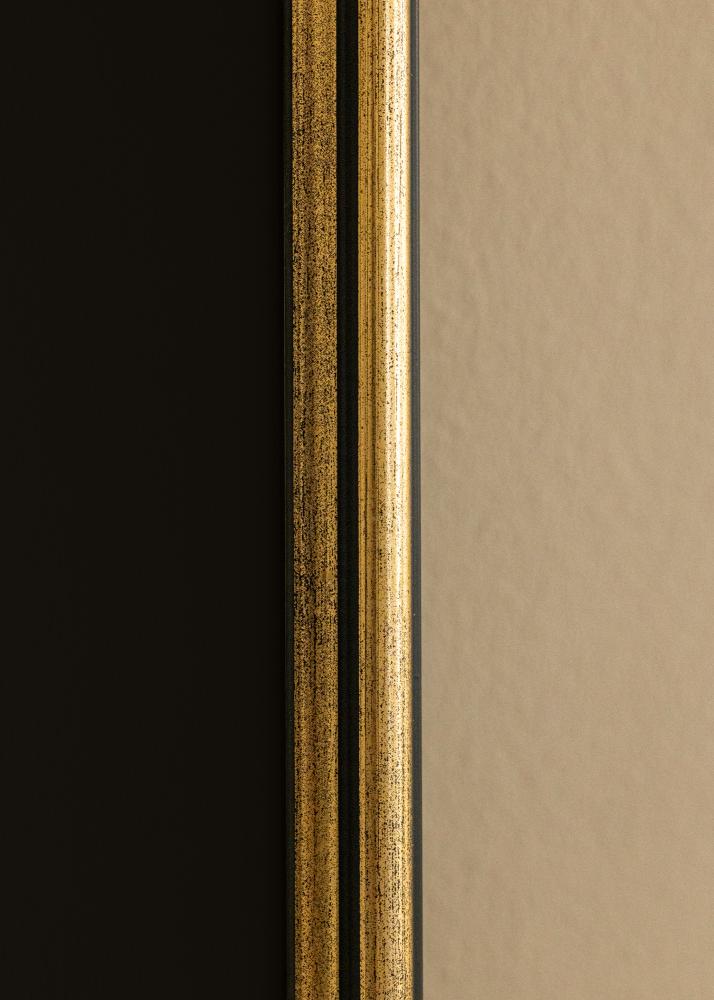 Ram med passepartou Frame Horndal Gold 50x60 cm - Picture Mount Black 14x18 inches