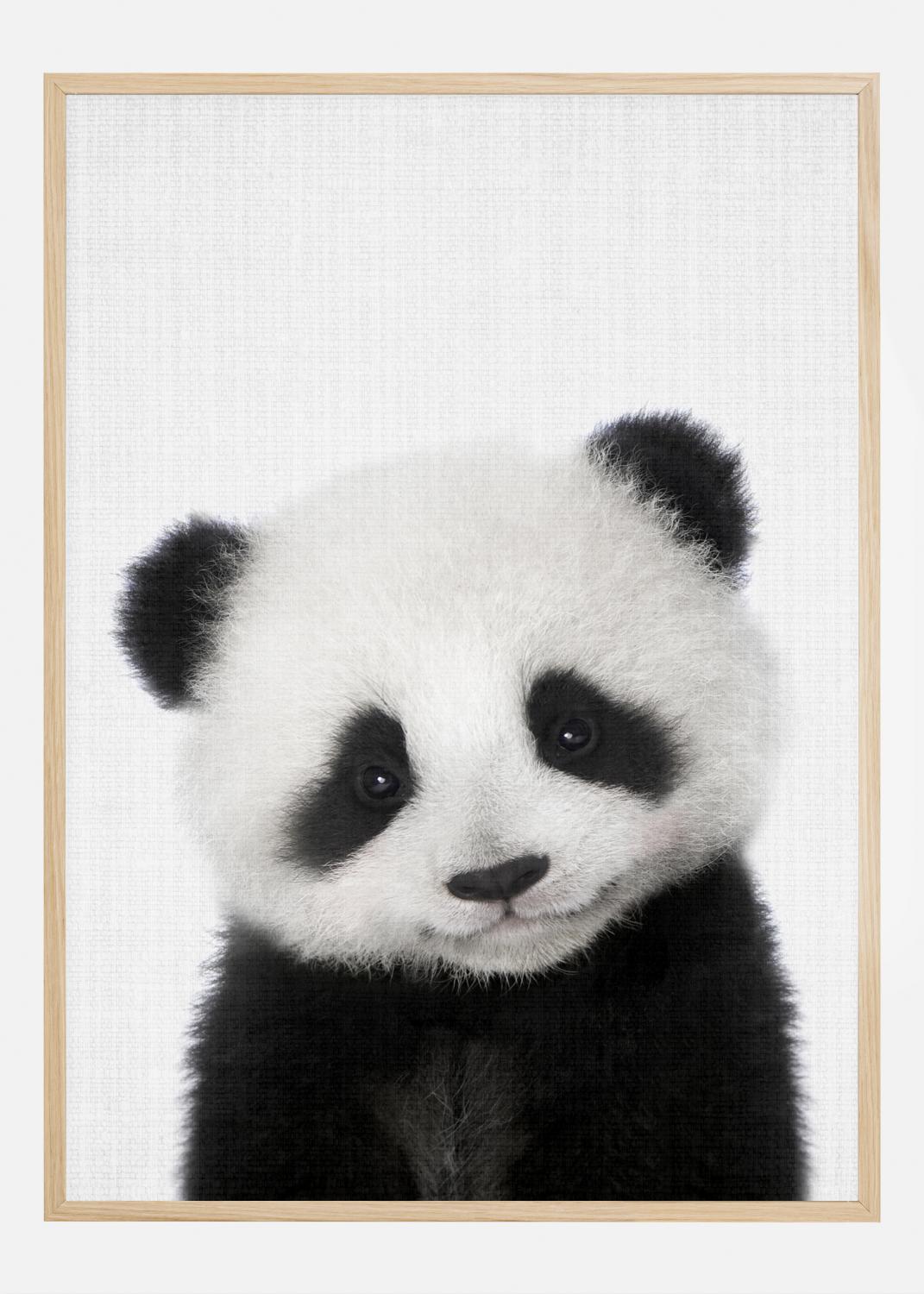 Product Image for Peekaboo Baby Panda Poster (30x40 cm)