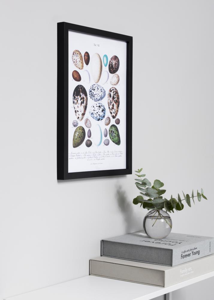 Estancia Frame Exclusive Black 40x50 cm