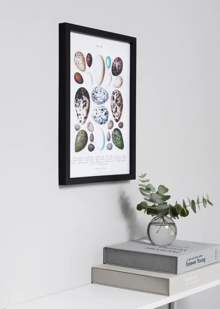 Estancia Frame Exclusive Black 50x50 cm