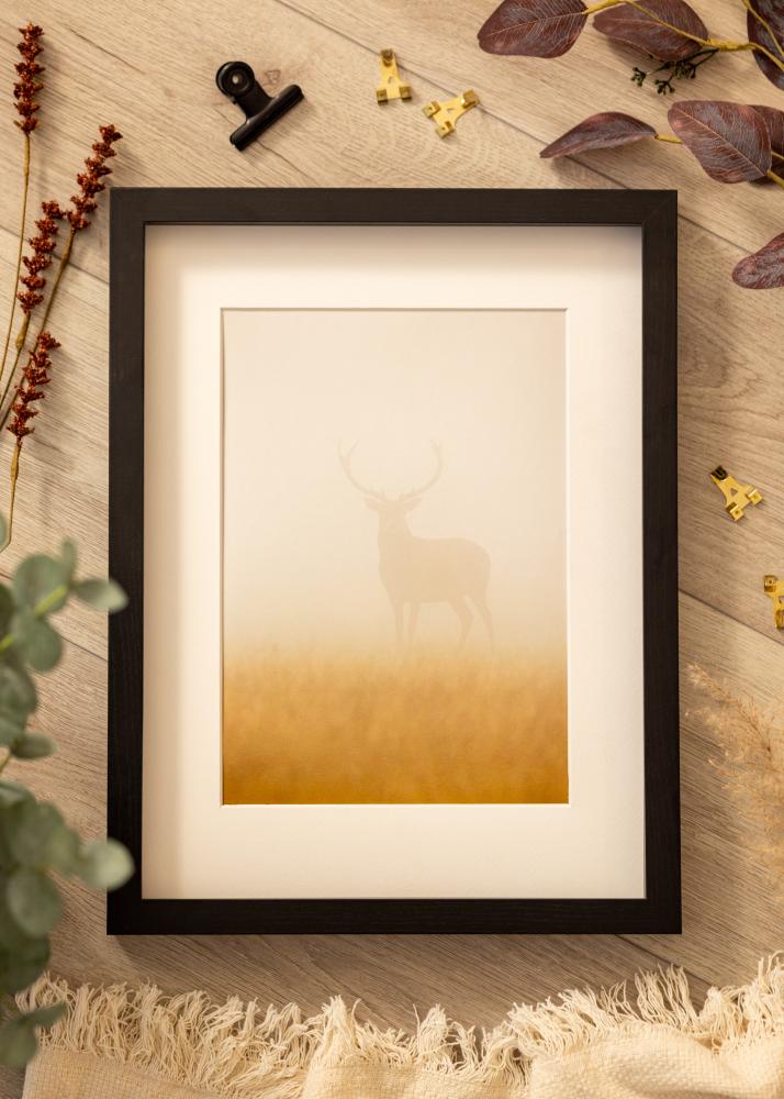 BGA BGA Box Frame Acrylic Glass Black 21x29.7 cm (A4)