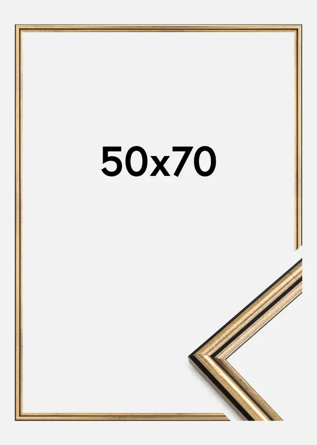 Galleri 1 Frame Horndal Gold 50x70 cm