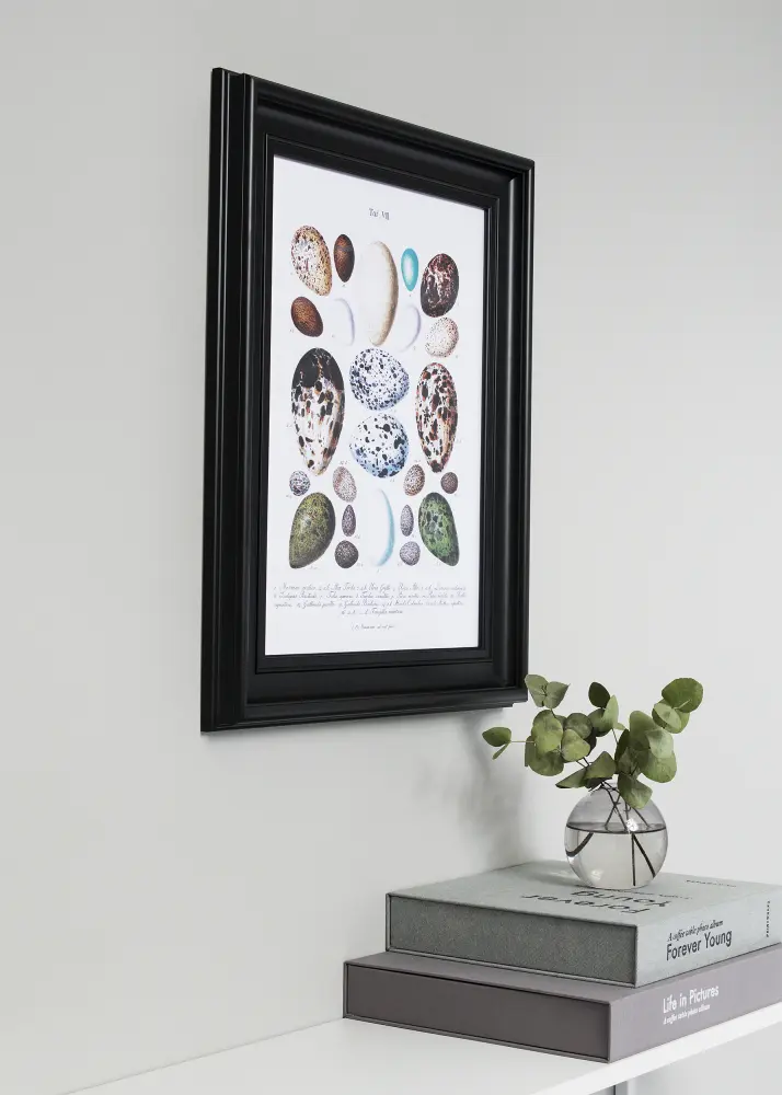Galleri 1 Frame Mora Premium Acrylic glass Black 21x29.7 cm (A4)