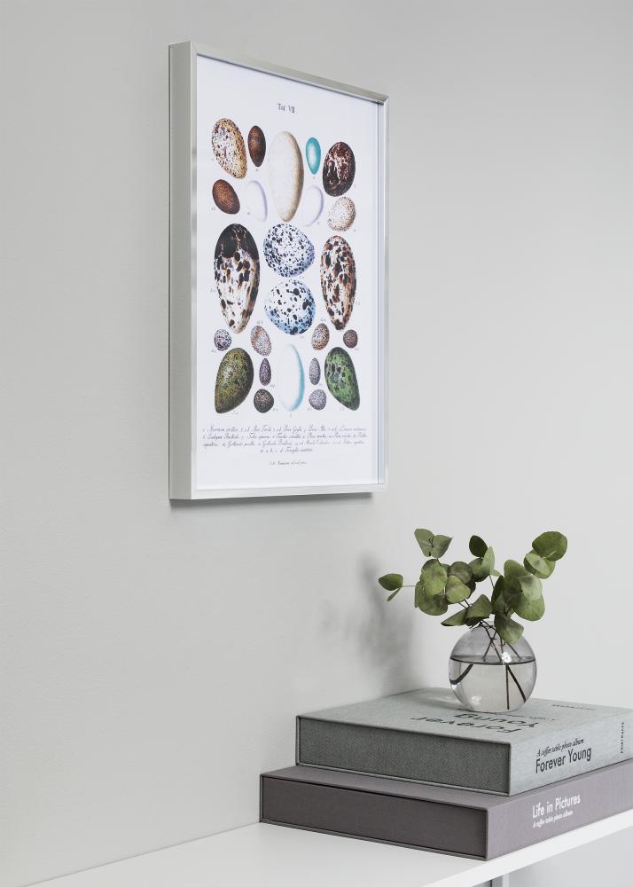 Nielsen Frame Nielsen Premium Alpha Glossy Silver 50x70 cm