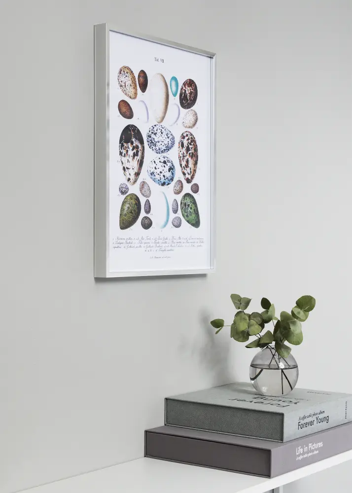 Nielsen Frame Nielsen Premium Alpha Glossy Silver 42x59,4 cm (A2)