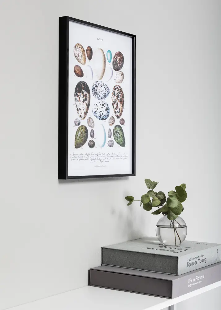 Nielsen Frame Nielsen Premium Alpha Glossy Black 40x50 cm