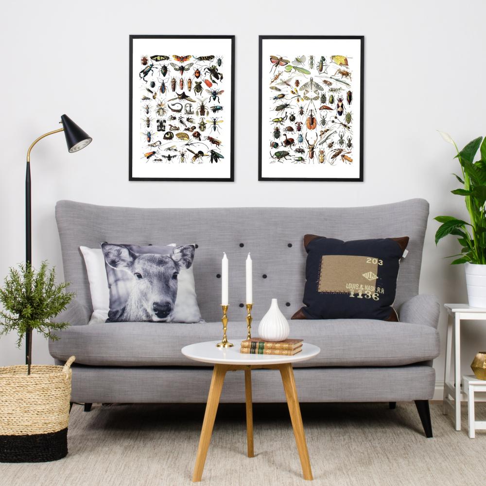 Bildverkstad Insects chart II Poster