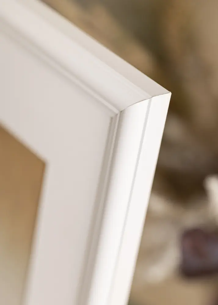 Ram med passepartou Frame Siljan White 42x59.4 cm (A2) - Picture Mount White 25x38 cm