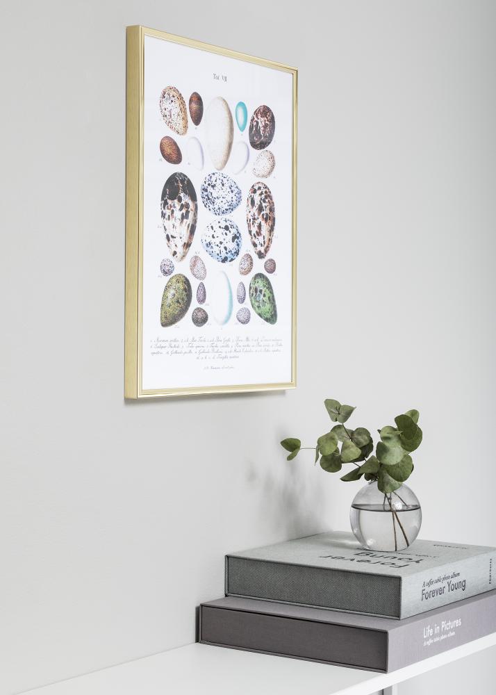 Nielsen Frame Nielsen Premium Classic Gold 21x29,7 cm (A4)