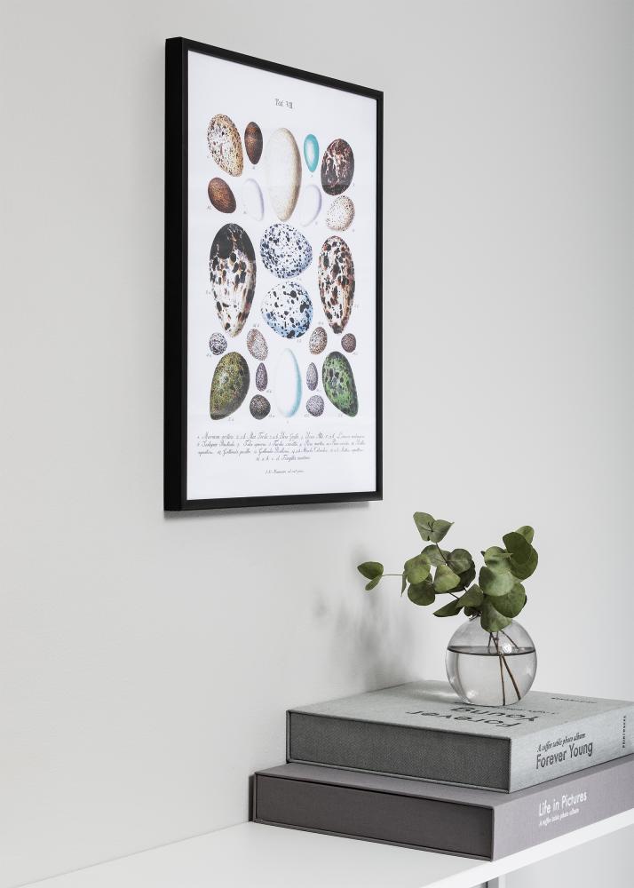 Nielsen Frame Nielsen Premium Classic Matt Black 40x50 cm