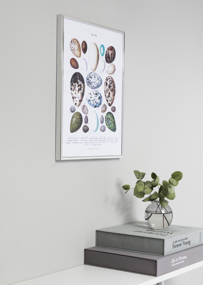 Nielsen Frame Nielsen Premium Classic Silver 60x80 cm