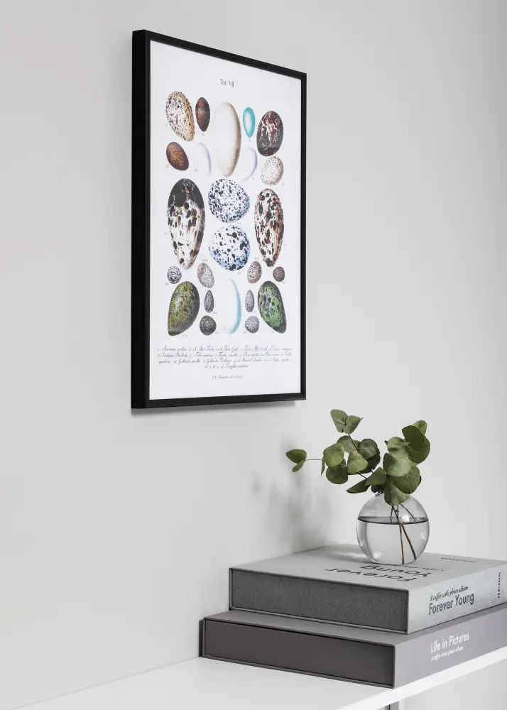 Nielsen Frame Nielsen Premium Classic Matt Black 42x59,4 cm (A2)