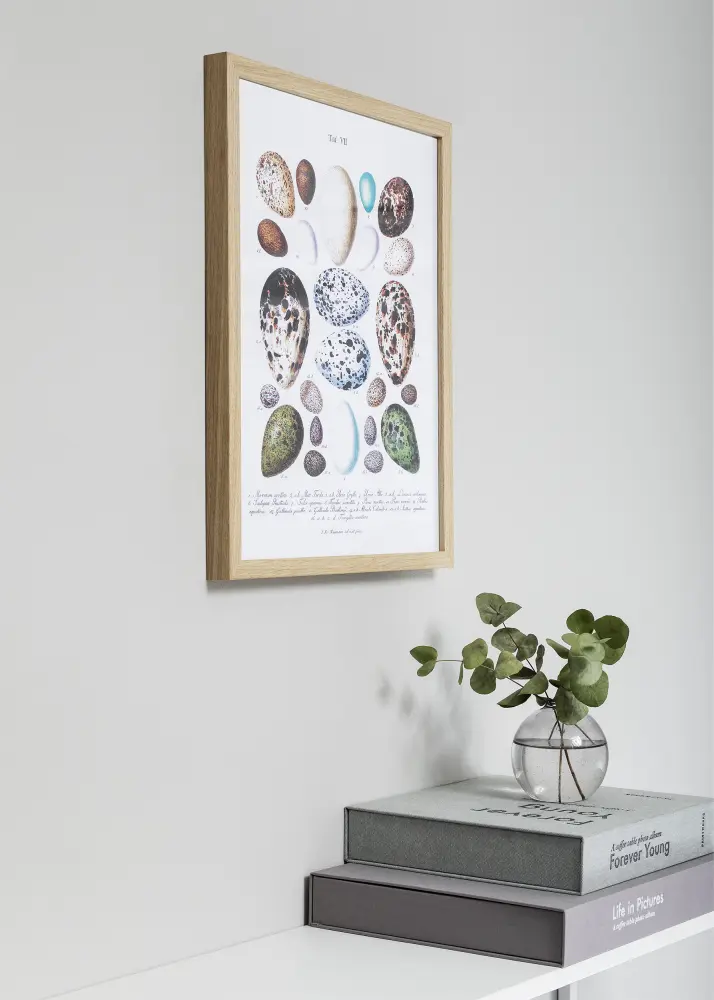 Nielsen Frame Nielsen Premium Quadrum Oak 24x30 cm