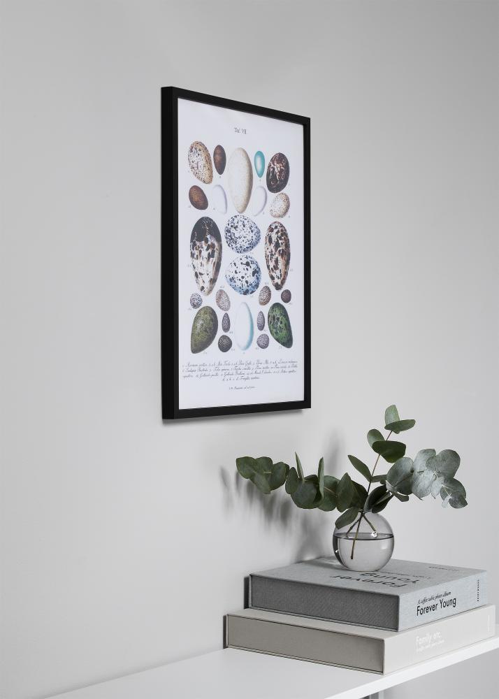 Estancia Frame Oslo Acrylic glass Black 13x18 cm