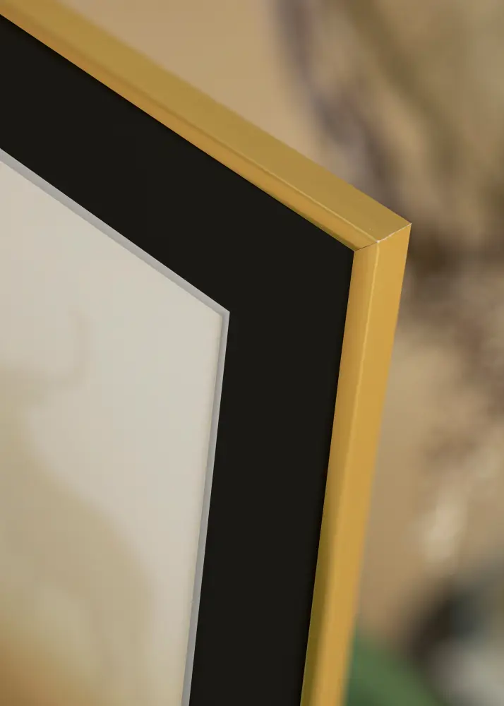 Ram med passepartou Frame New Lifestyle Gold 40x50 cm - Picture Mount Black 30x40 cm