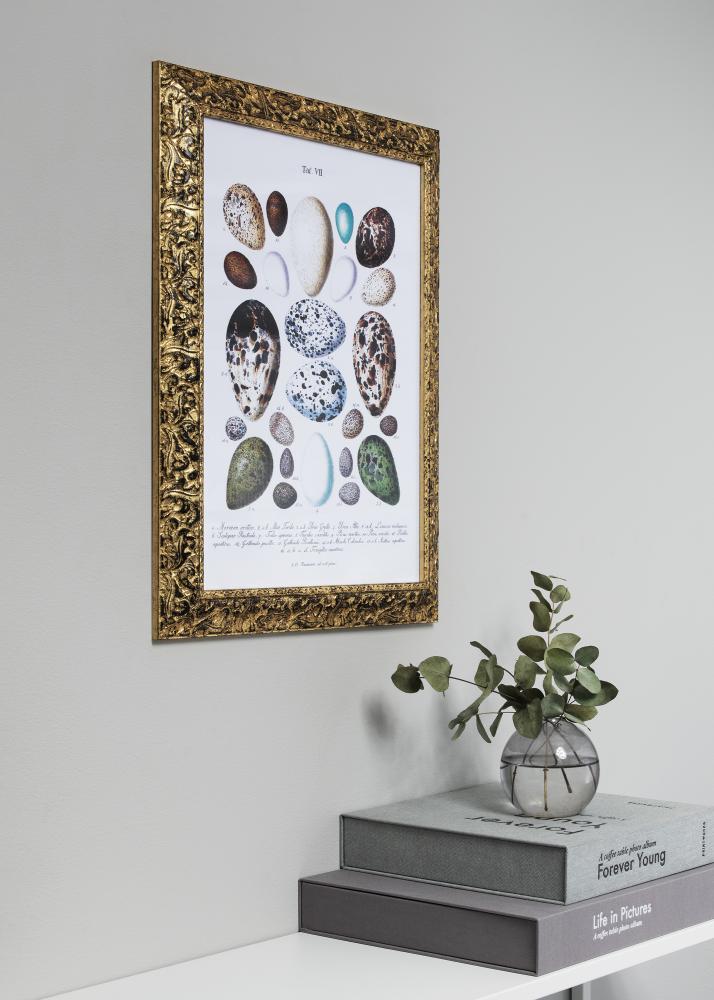 Bubola e Naibo Frame Ralph Gold 35x50 cm